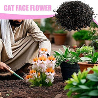 Cat Eye Dazzle Seeds + Plant Growth Serum Free (pack of 1)